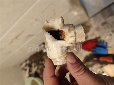 潭牛镇自来水管道漏水检测