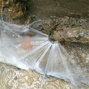 潭牛镇消防管道漏水检测